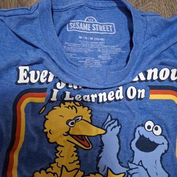 Everything I Know I Learned on the Streets Sesame Street T-Shirt. - Picture 3 of 5